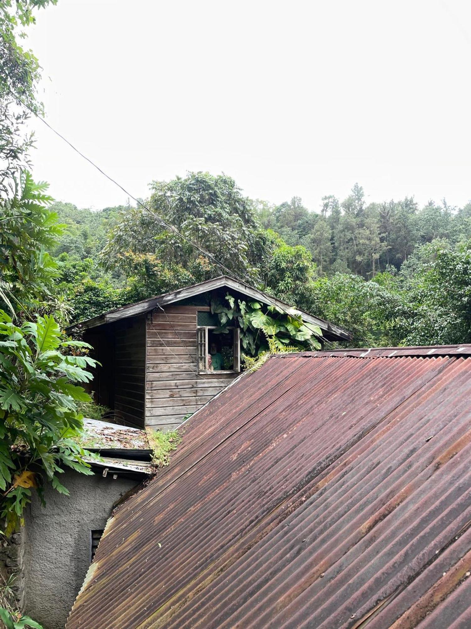 Dustry Cottages Кингстон Экстерьер фото